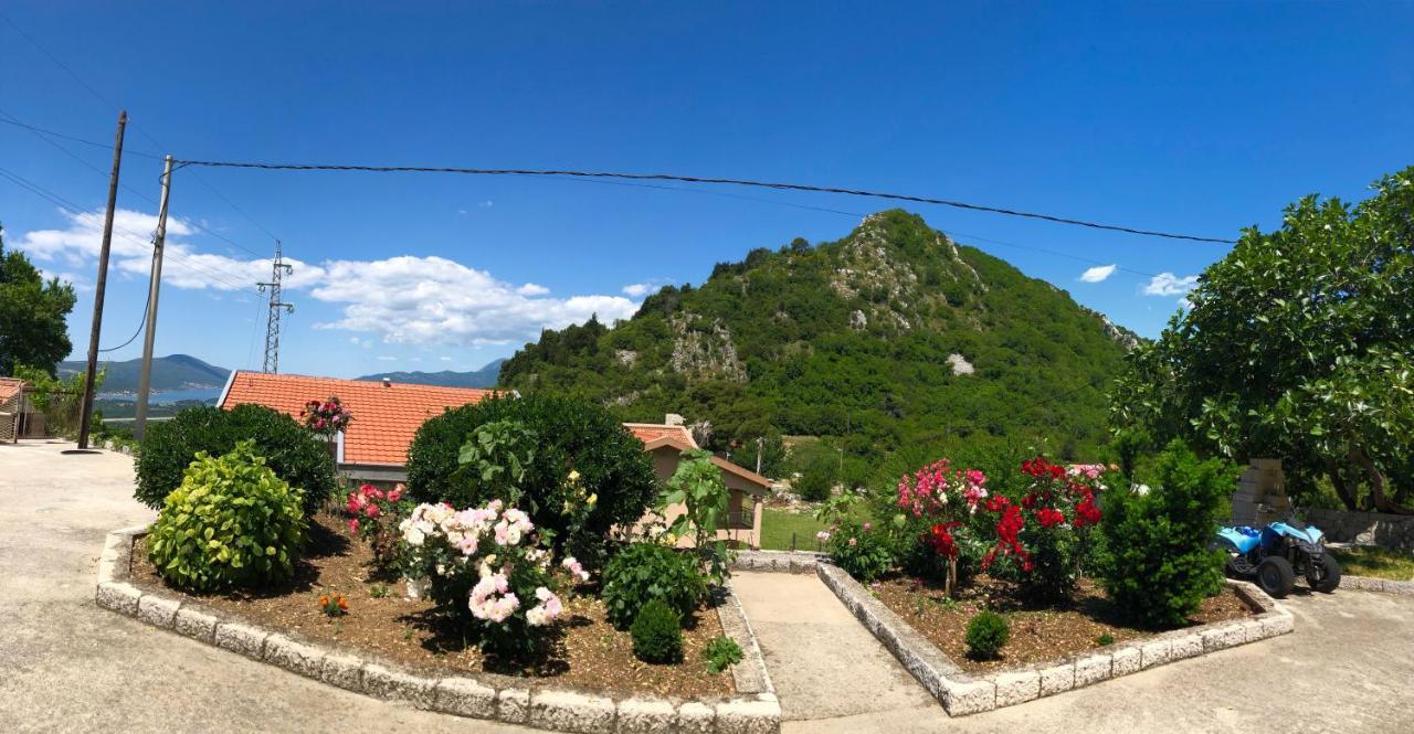 Albomi Apartment Kotor Exterior photo